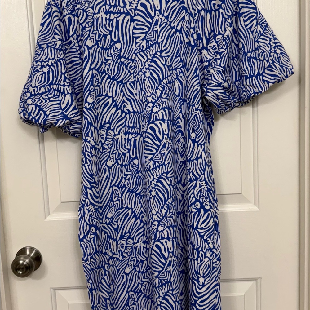 Lilly Pulitzer Blue and White Patterned Short Sleeve Dress - Picture 3 of 7